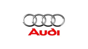 Audi - Tucuruvi Mudanças